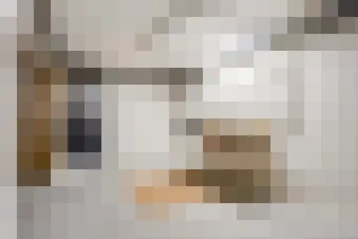 Berkenlaan 31 Barneveld thumbnail 64