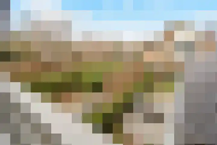 Berkenlaan 31 Barneveld thumbnail 70