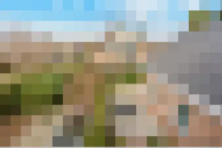 Berkenlaan 31 Barneveld thumbnail 72