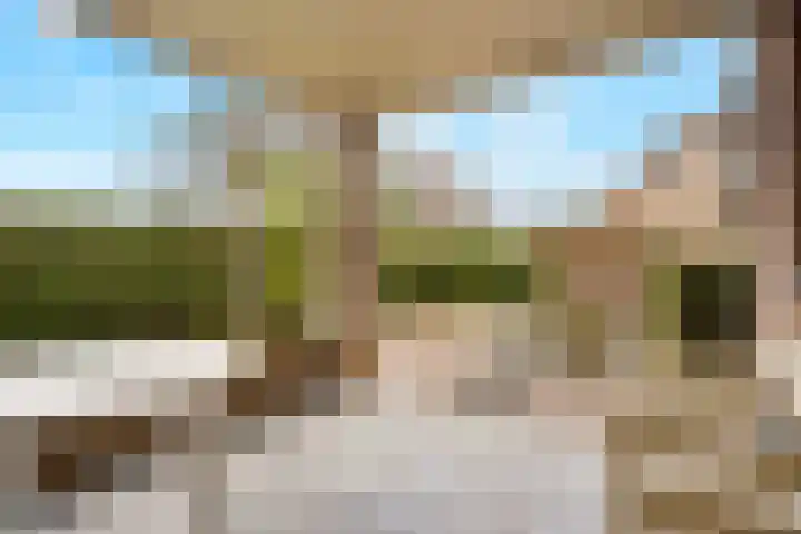 Berkenlaan 31 Barneveld thumbnail 73