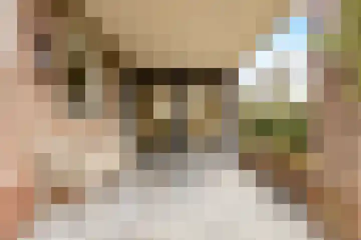 Berkenlaan 31 Barneveld thumbnail 74
