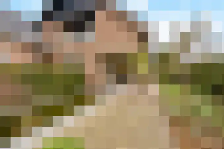 Berkenlaan 31 Barneveld thumbnail 76