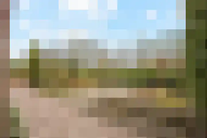 Berkenlaan 31 Barneveld thumbnail 77