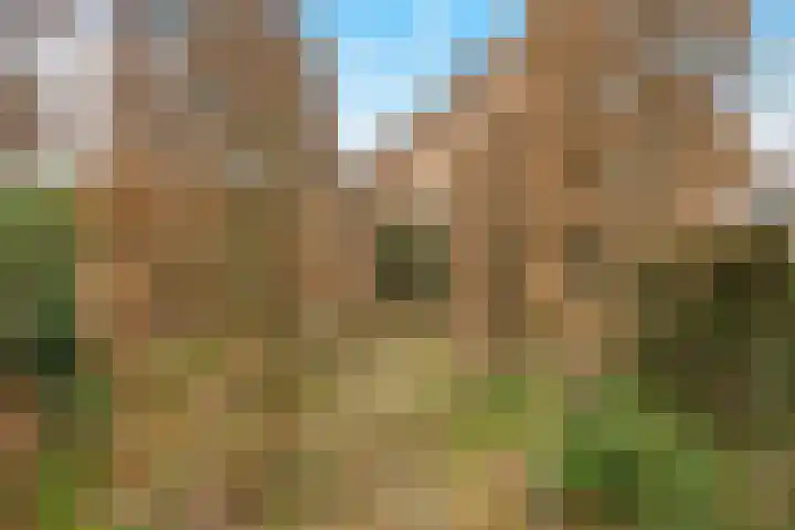 Berkenlaan 31 Barneveld thumbnail 78