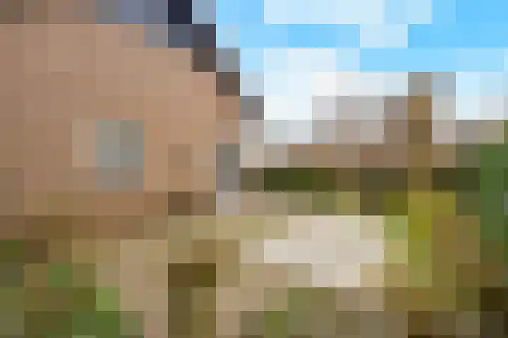 Berkenlaan 31 Barneveld thumbnail 80