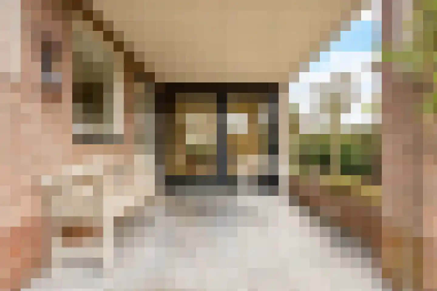 Berkenlaan 31 Barneveld thumbnail 81