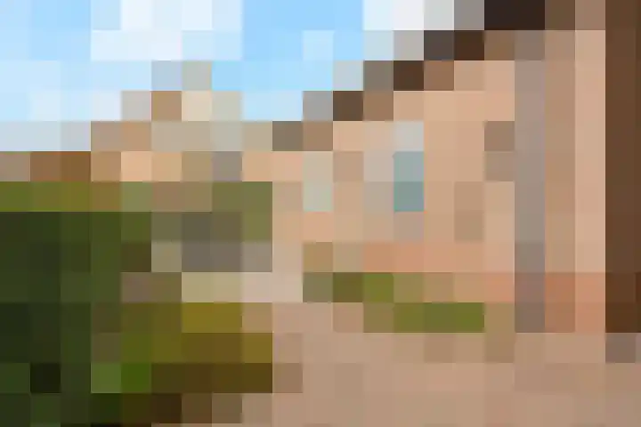 Berkenlaan 31 Barneveld thumbnail 83
