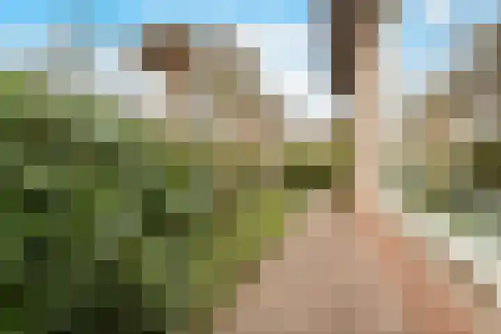 Berkenlaan 31 Barneveld thumbnail 85