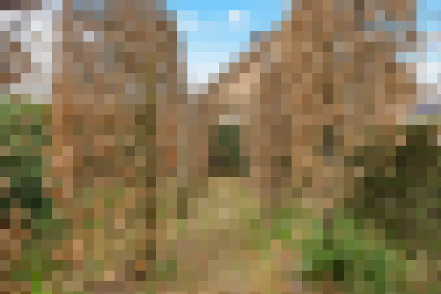 Berkenlaan 31 Barneveld thumbnail 85