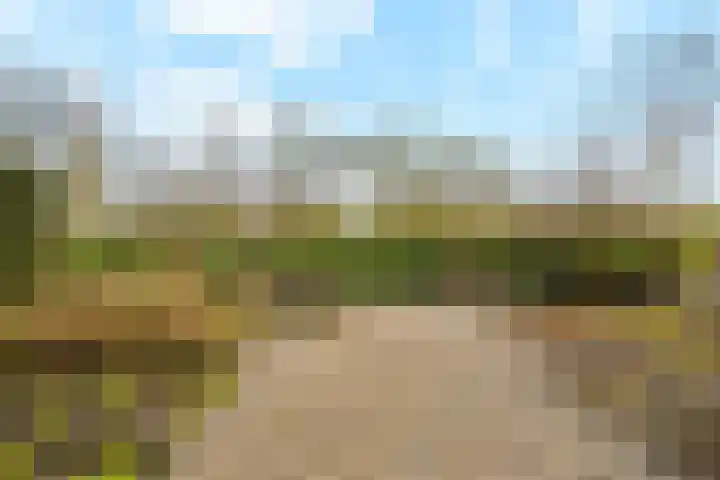 Berkenlaan 31 Barneveld thumbnail 86