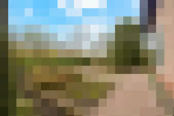 Berkenlaan 31 Barneveld thumbnail 87