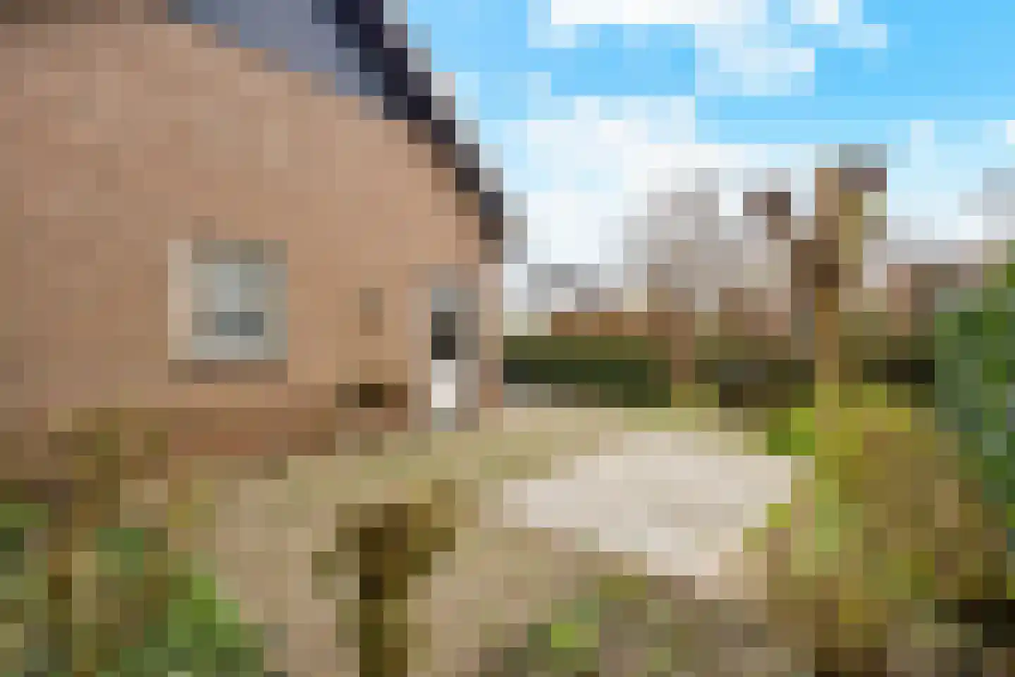 Berkenlaan 31 Barneveld thumbnail 87