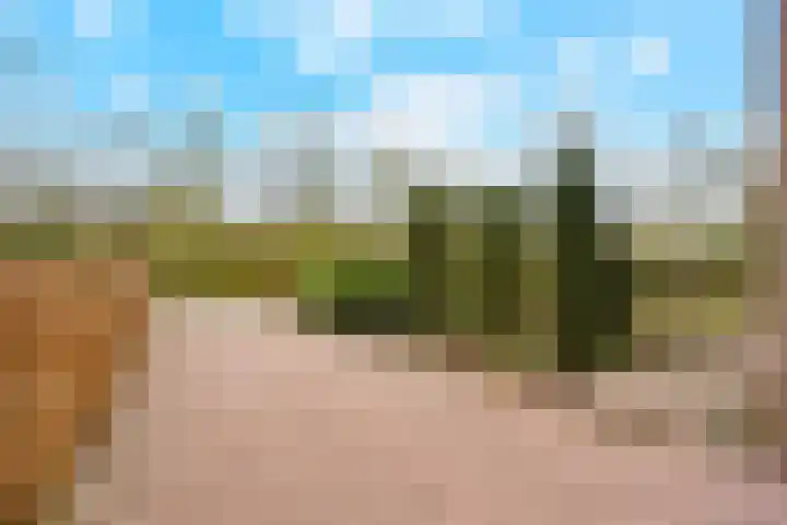 Berkenlaan 31 Barneveld thumbnail 88