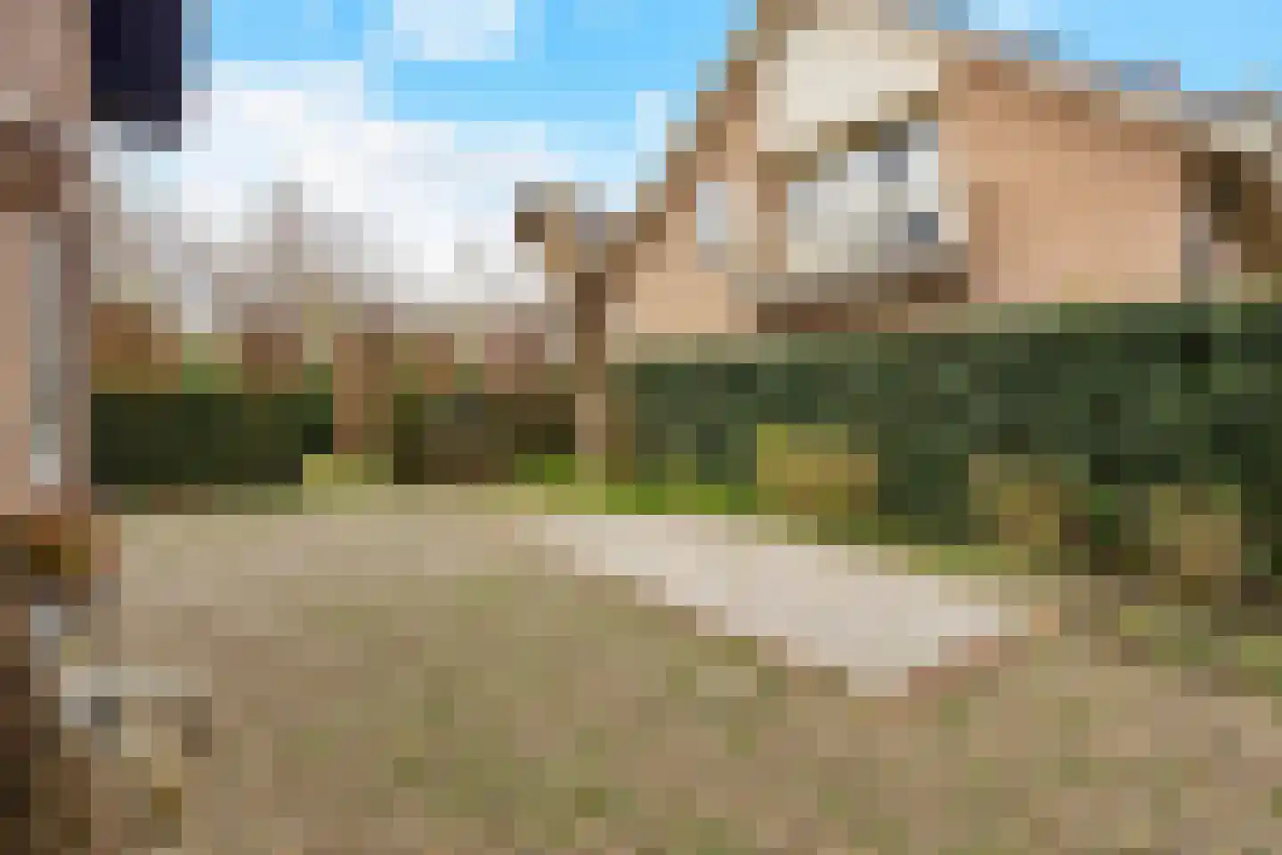 Berkenlaan 31 Barneveld thumbnail 88