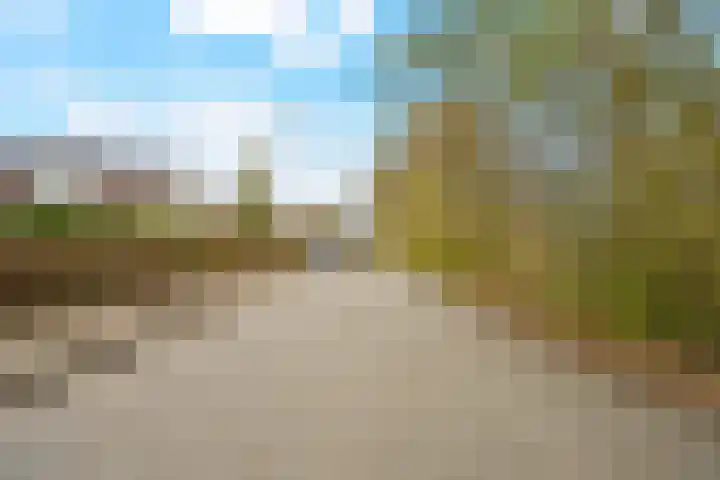 Berkenlaan 31 Barneveld thumbnail 90