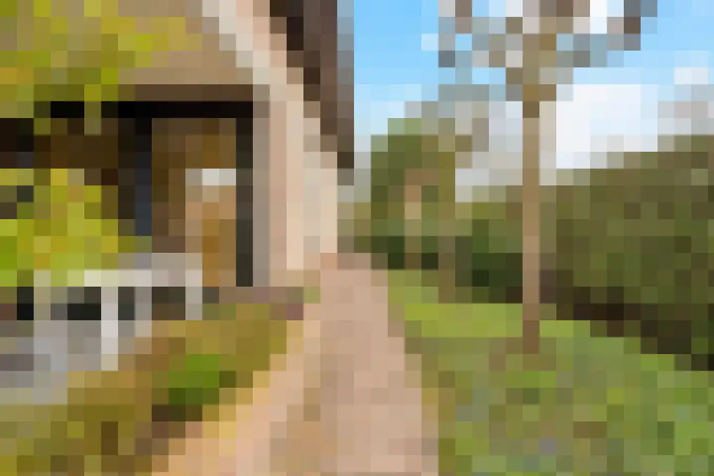 Berkenlaan 31 Barneveld thumbnail 91