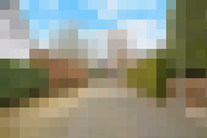 Berkenlaan 31 Barneveld thumbnail 91