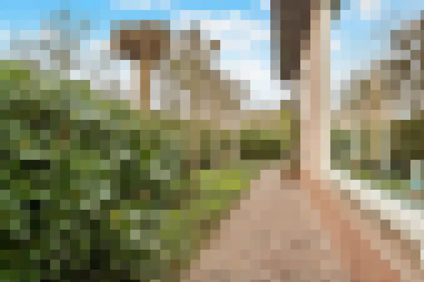 Berkenlaan 31 Barneveld thumbnail 92