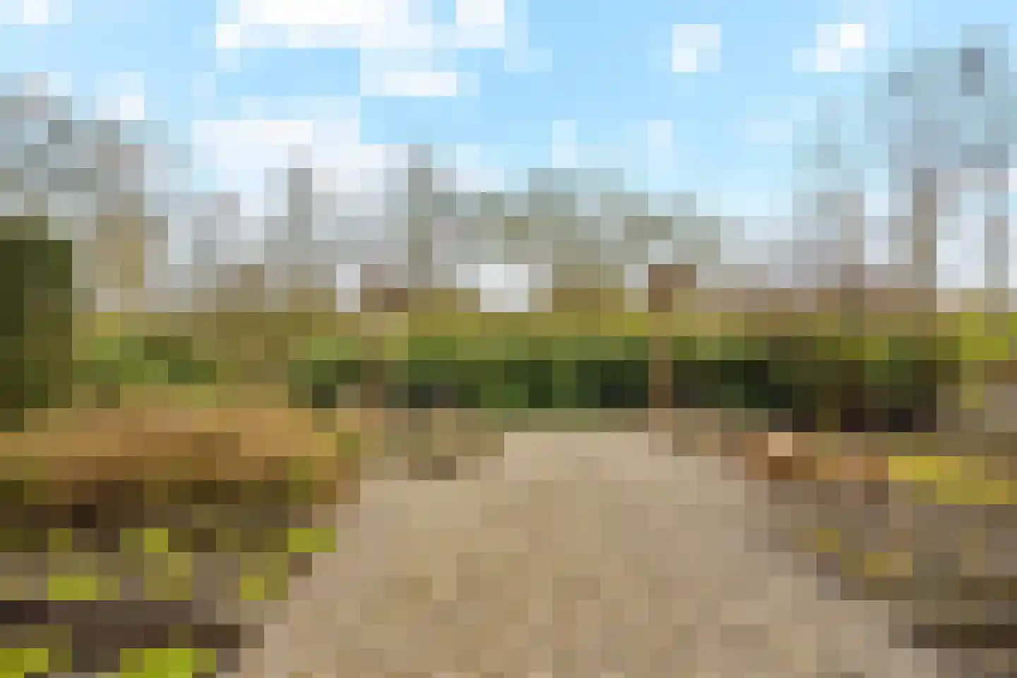 Berkenlaan 31 Barneveld thumbnail 93