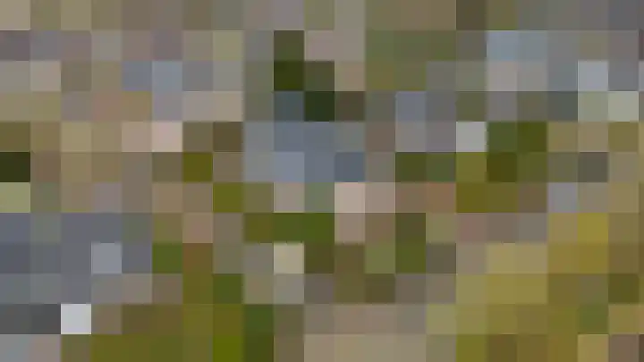Berkenlaan 31 Barneveld thumbnail 93