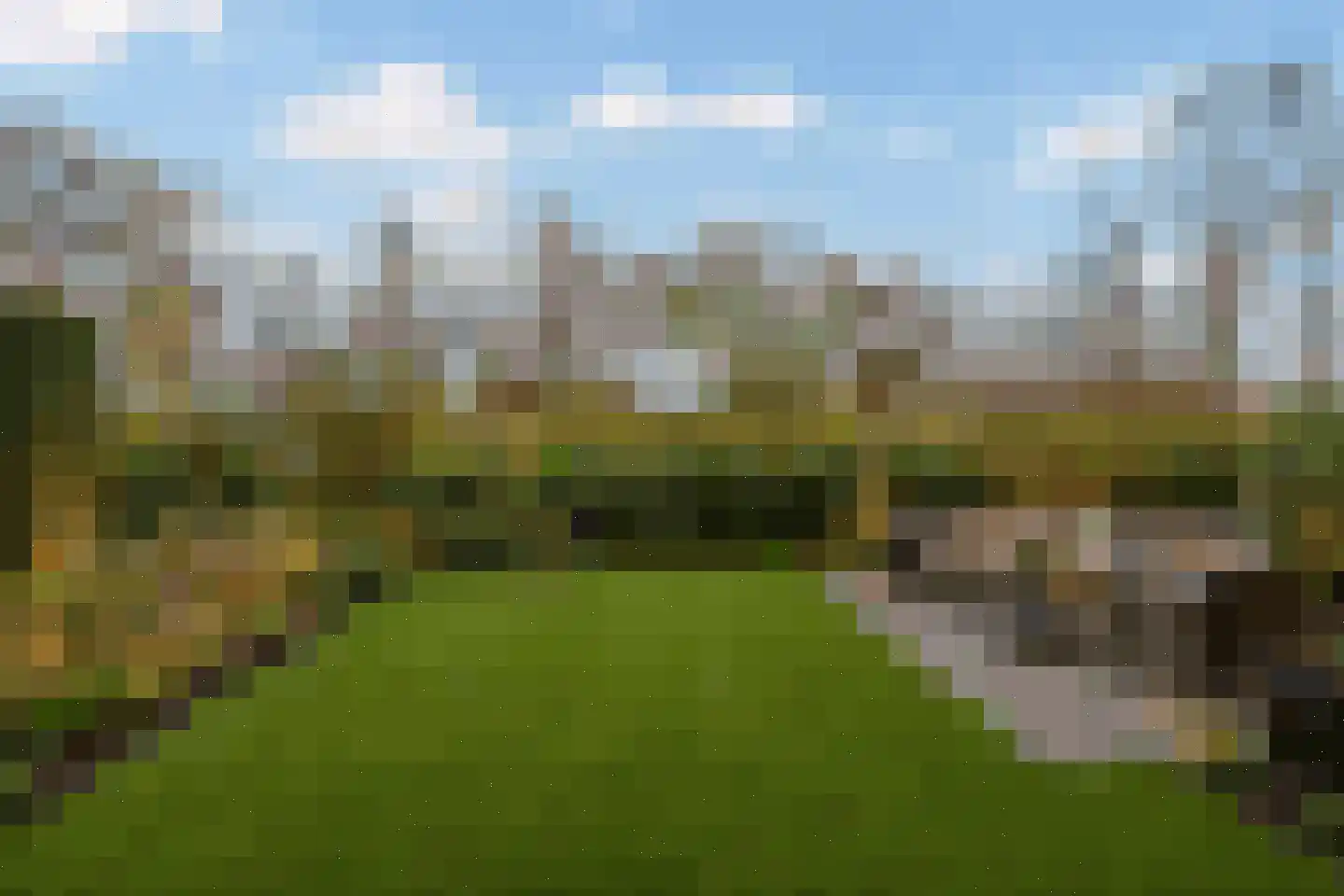 Berkenlaan 31 Barneveld thumbnail 94