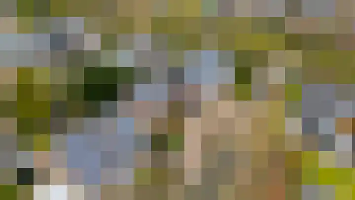 Berkenlaan 31 Barneveld thumbnail 95