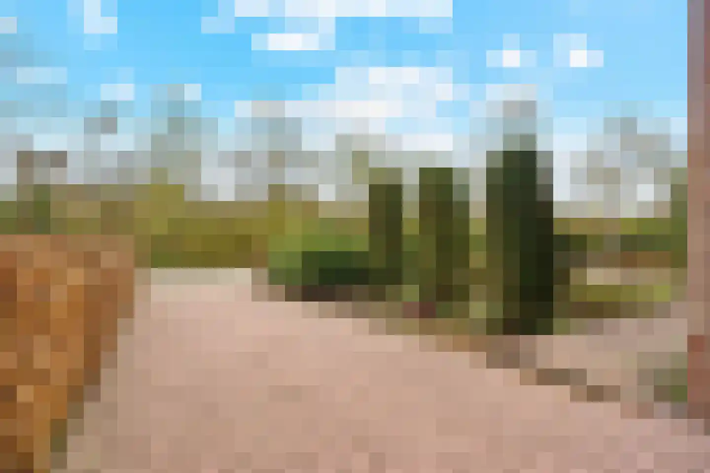 Berkenlaan 31 Barneveld thumbnail 96