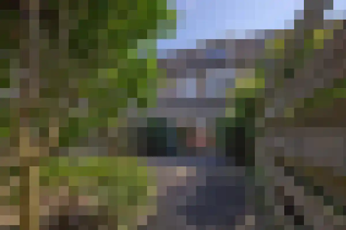 Berkenlaan 31 Loosdrecht thumbnail 4