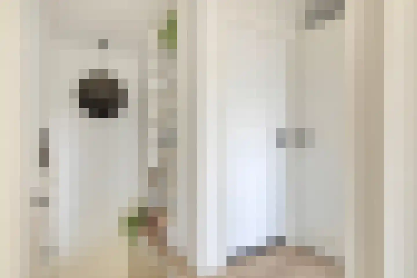 Berkenlaan 31 Middelburg thumbnail 12
