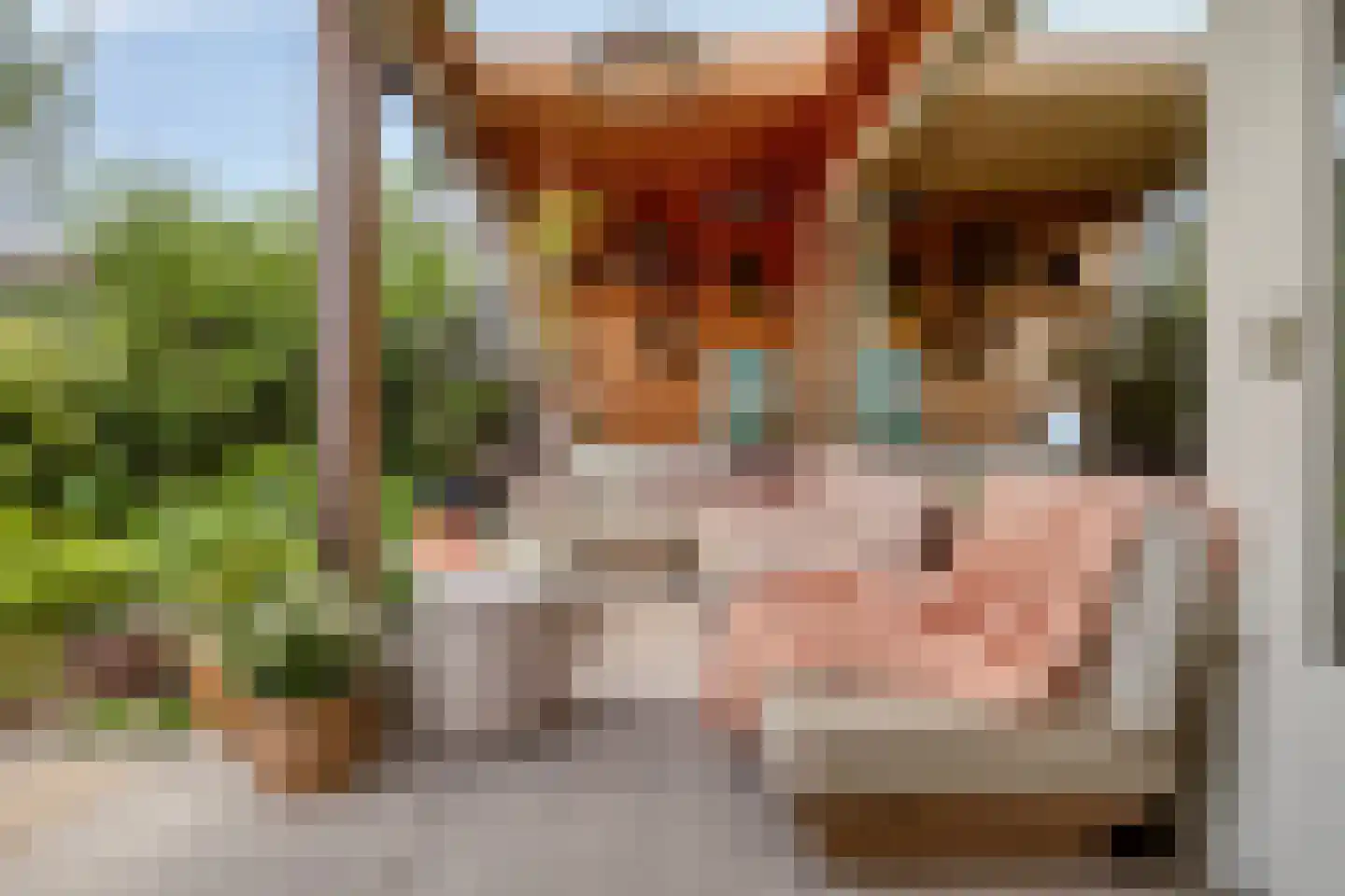 Berkenlaan 31 Middelburg thumbnail 18