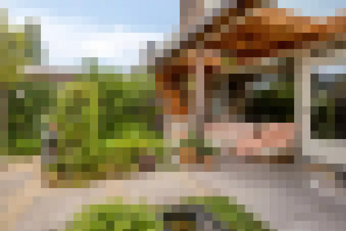 Berkenlaan 31 Middelburg thumbnail 19