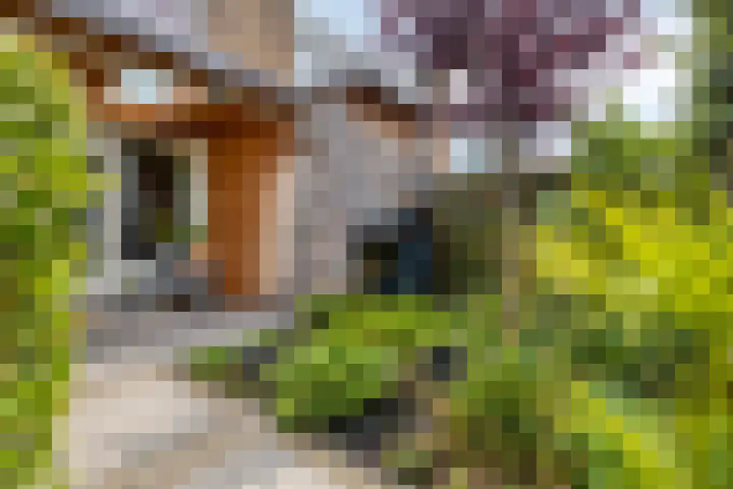 Berkenlaan 31 Middelburg thumbnail 20