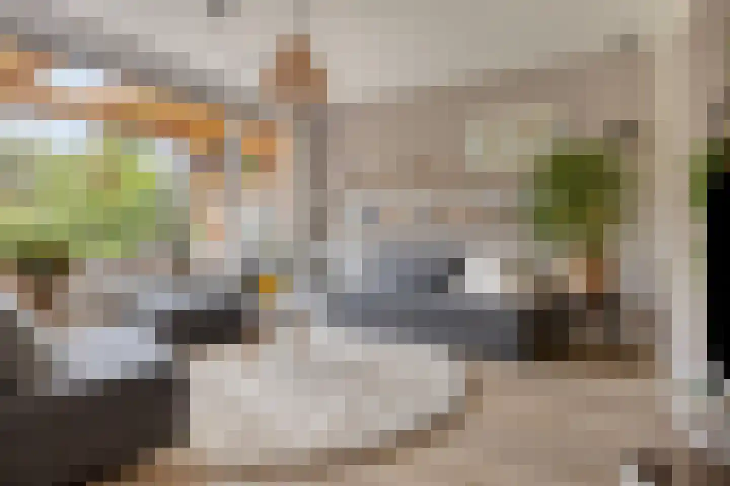 Berkenlaan 31 Middelburg thumbnail 4