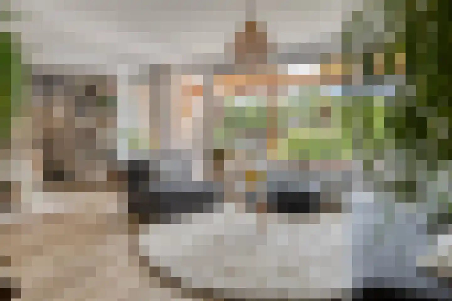Berkenlaan 31 Middelburg thumbnail 5