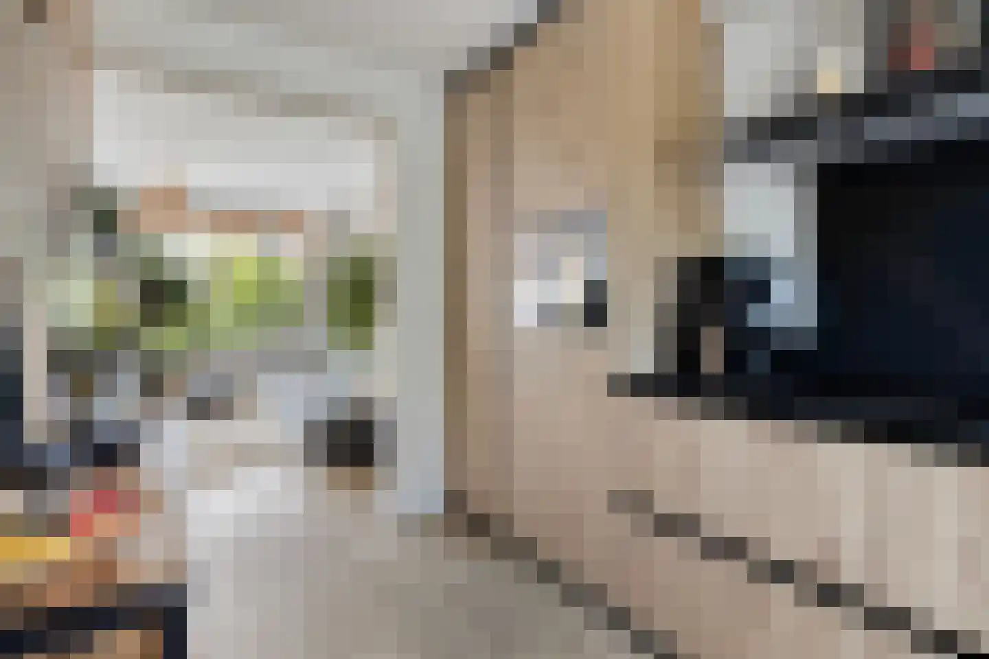 Berkenlaan 31 Middelburg thumbnail 9