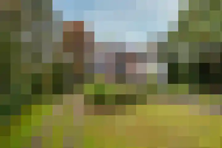 Berkenlaan 31 Zeist