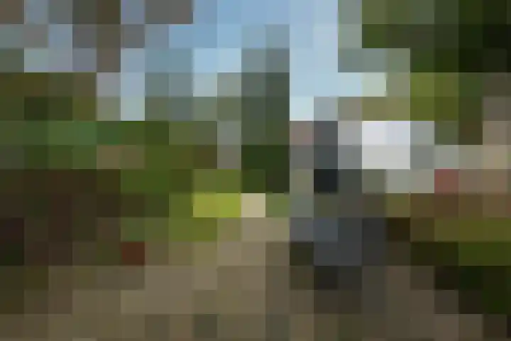 Berkenlaan 31 Zeist thumbnail 21