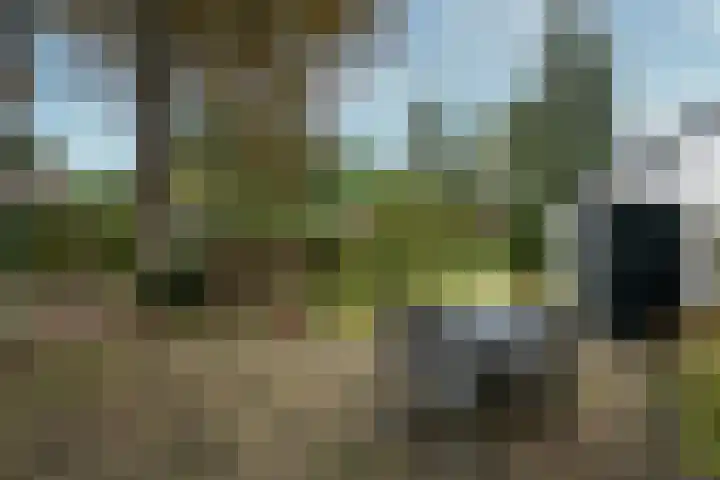 Berkenlaan 31 Zeist thumbnail 22