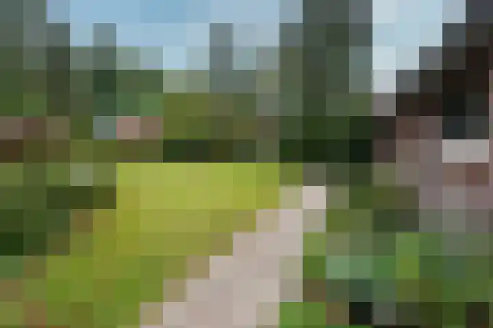 Berkenlaan 31 Zeist thumbnail 23