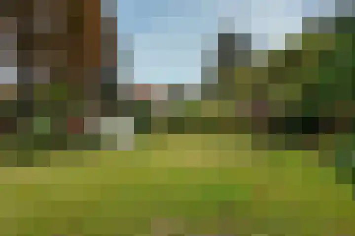 Berkenlaan 31 Zeist thumbnail 24