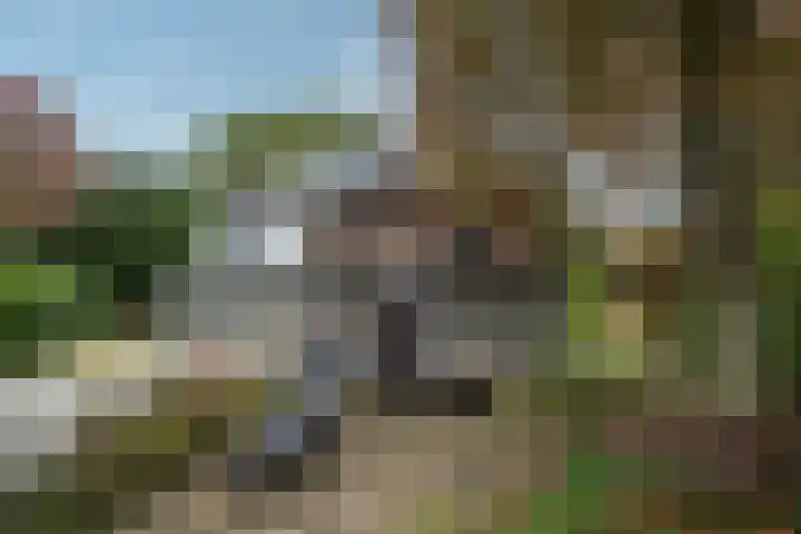 Berkenlaan 31 Zeist thumbnail 27