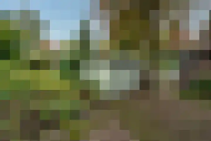 Berkenlaan 31 Zeist thumbnail 28