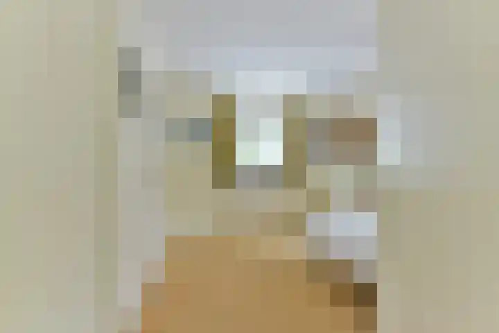 Berkenlaan 31 Zeist thumbnail 31
