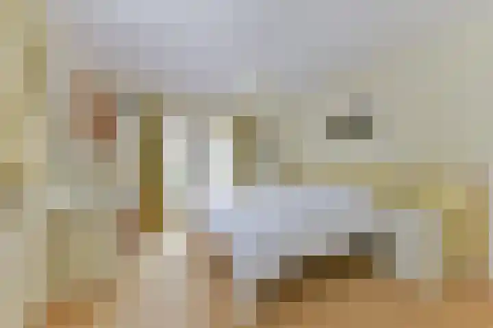 Berkenlaan 31 Zeist thumbnail 32