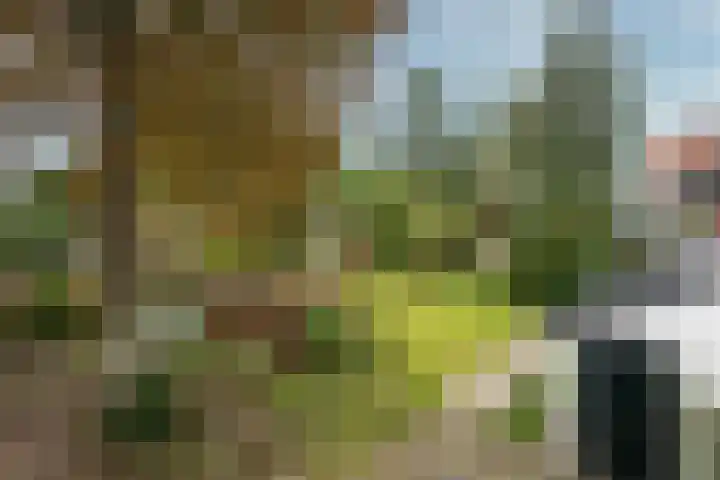 Berkenlaan 31 Zeist thumbnail 33