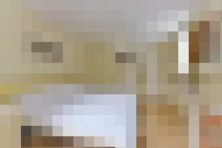 Berkenlaan 31 Zeist thumbnail 34