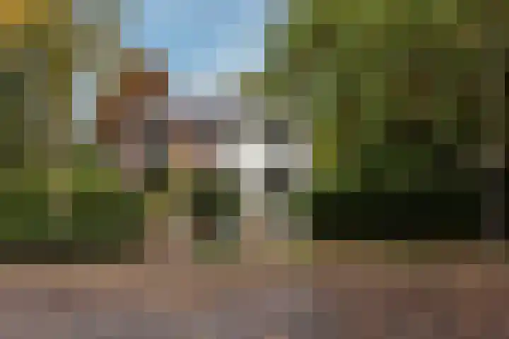 Berkenlaan 31 Zeist thumbnail 4