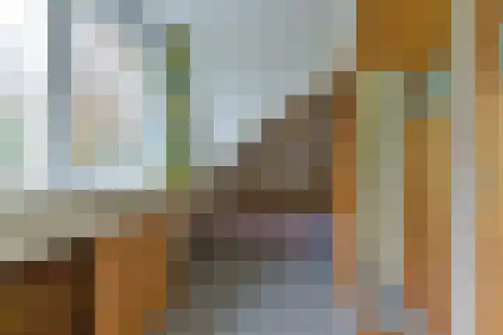 Berkenlaan 31 Zeist thumbnail 47