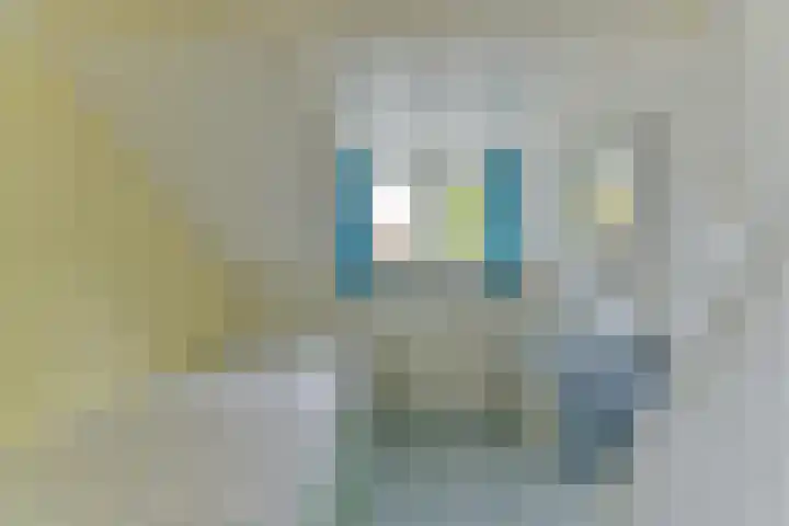 Berkenlaan 31 Zeist thumbnail 48