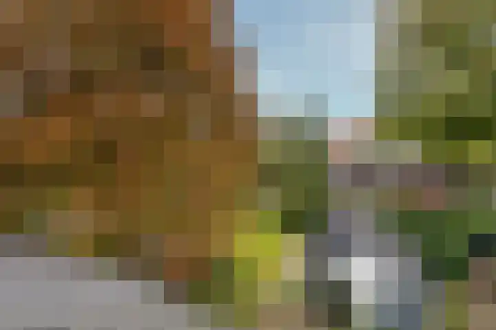 Berkenlaan 31 Zeist thumbnail 49